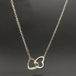 1pc Stainless Steel Heart To Heart Necklace